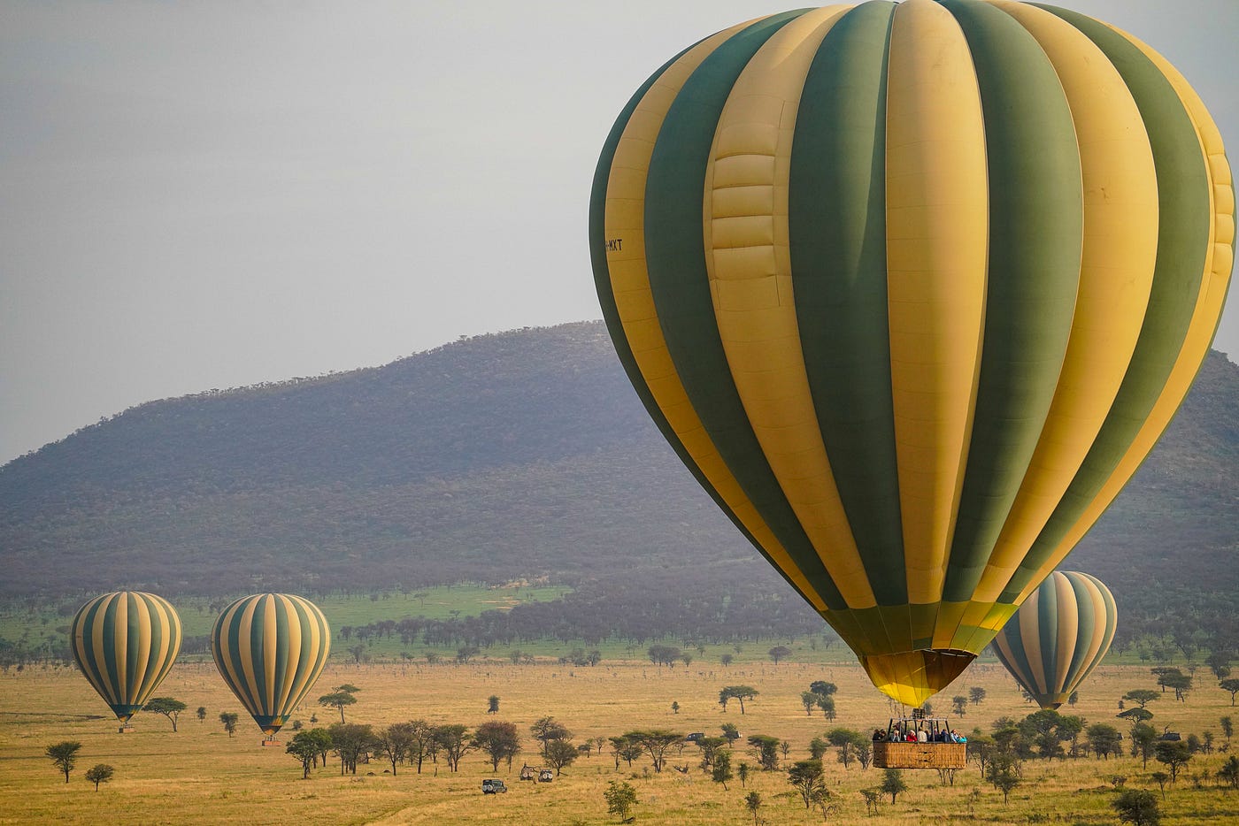 6 Days Serengeti Migration Safari Prices & Packagers