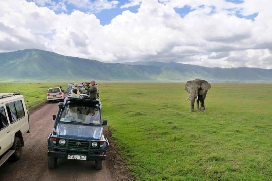 2 Days Tanzania Safaris