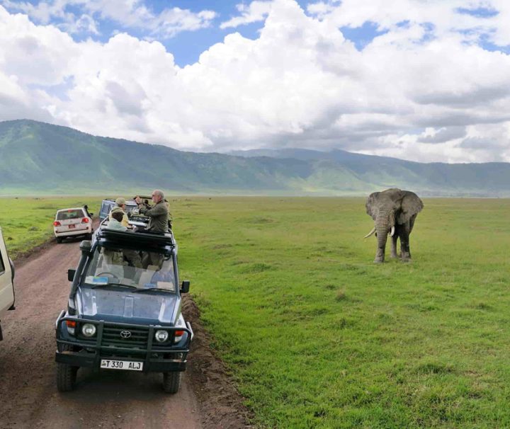 2 Days Tanzania Safaris