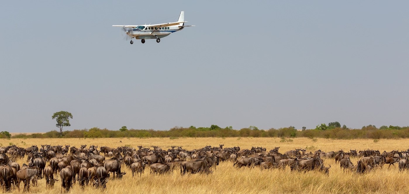 2 days Safari from Dar Es Salaam to Mikumi National Park