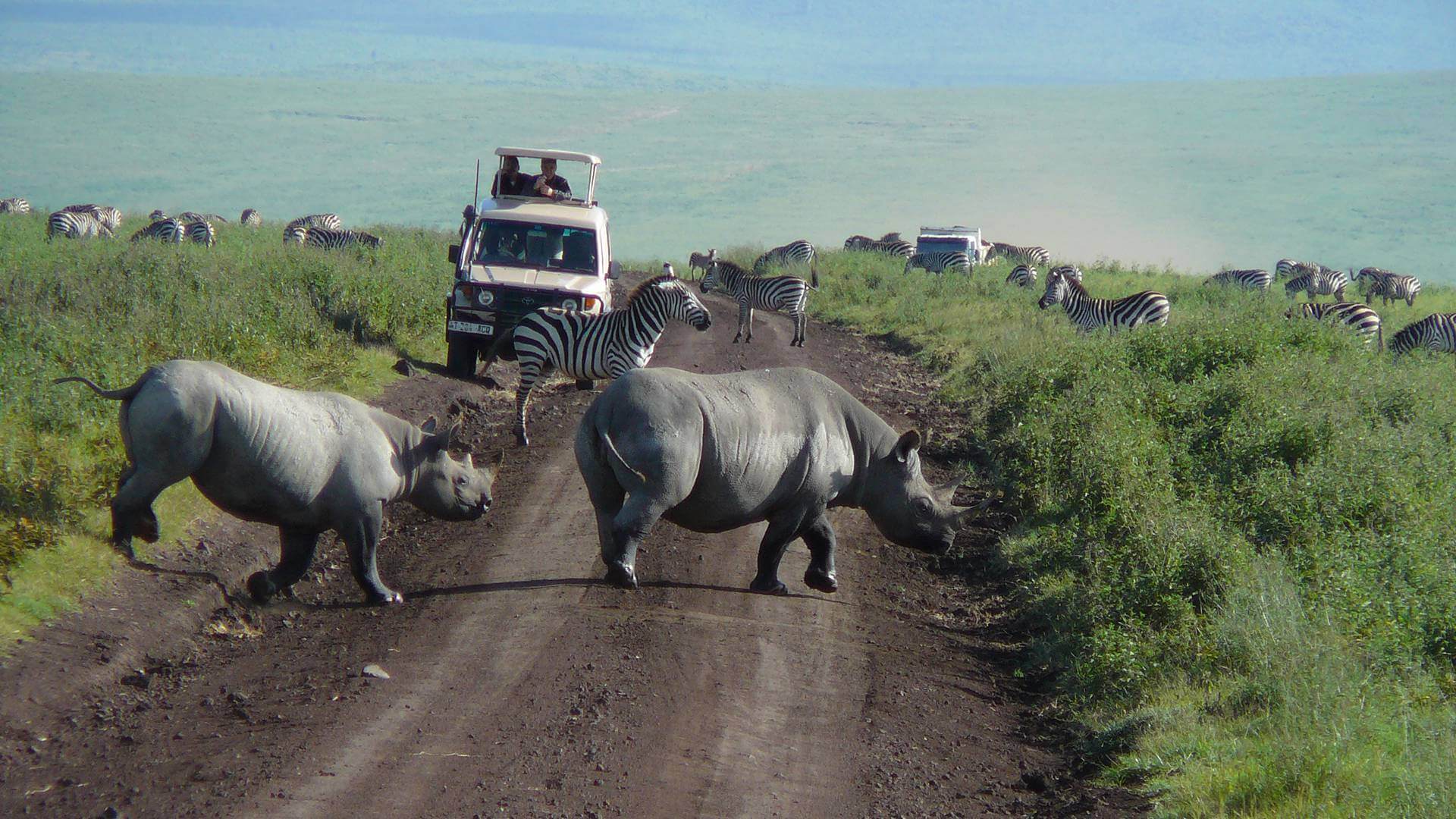 2 days Tanzania Lodge Safari, Ngorongoro and Tarangire