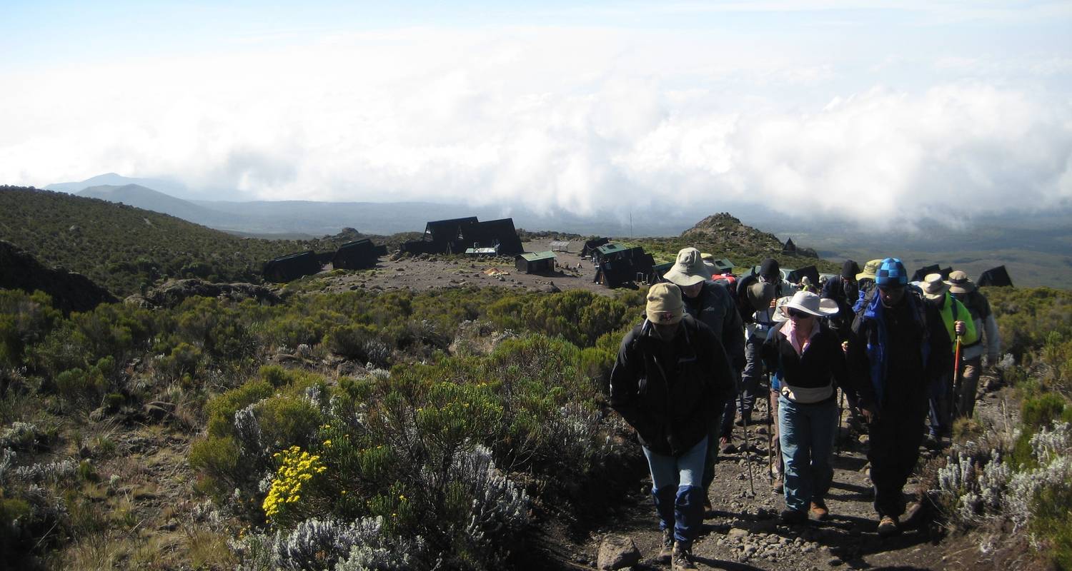 3 Day Mount Kilimanjaro Short Hike Marangu Route