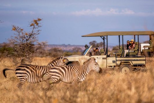 3 Day Tanzania Safari Mikumi National Park from Dar es Salaam