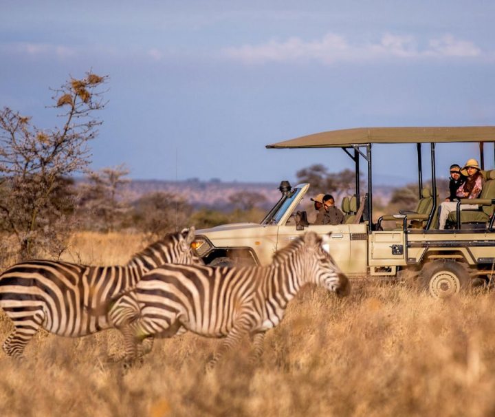 3 Day Tanzania Safari Mikumi National Park from Dar es Salaam