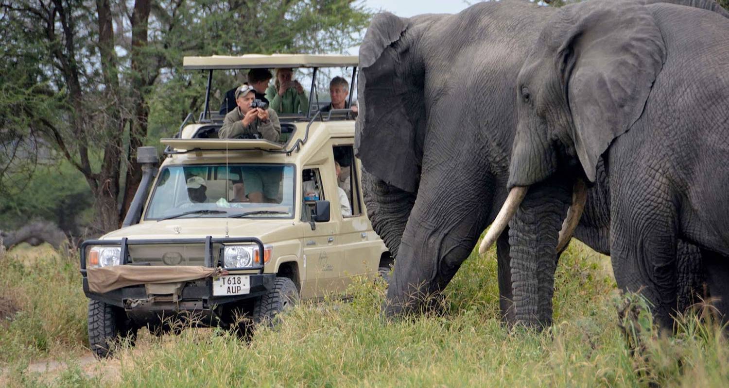 4 Days Tanzania Lodge Safari