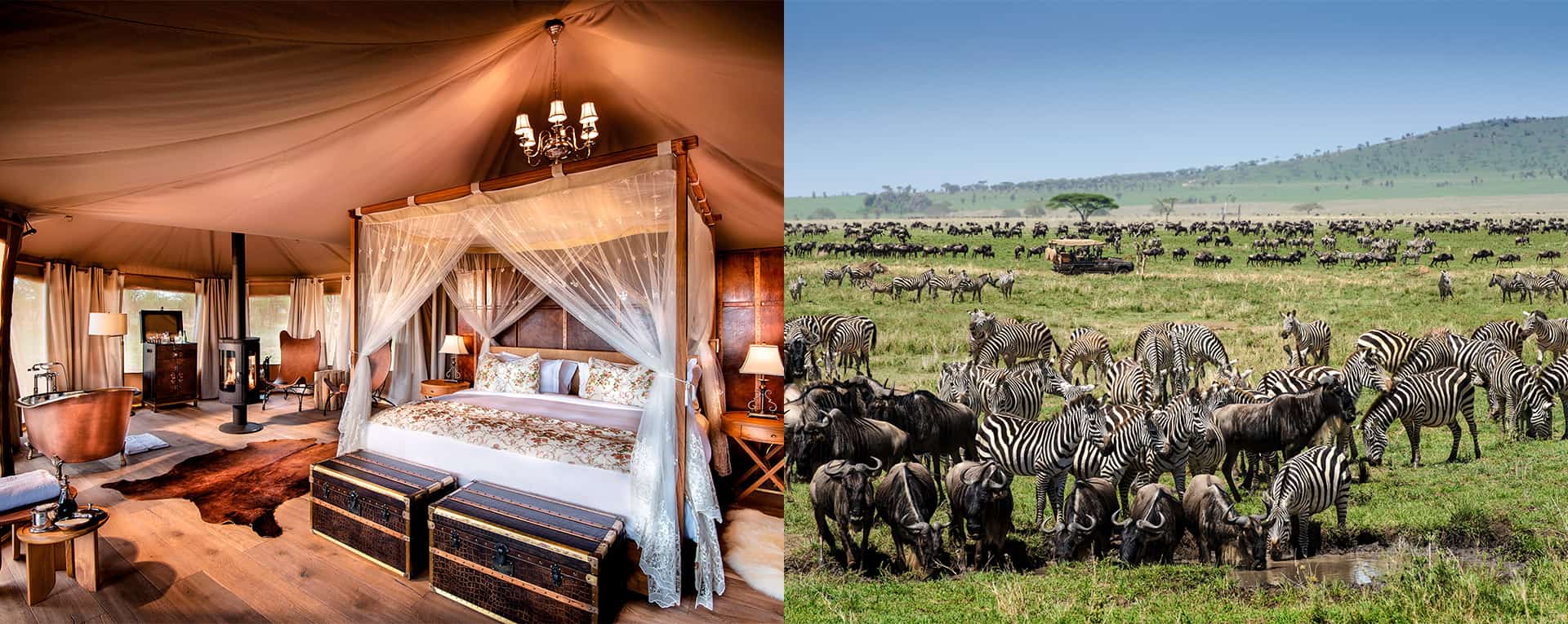 4 Days Tanzania Lodge Safari Short Ngorongoro Serengeti