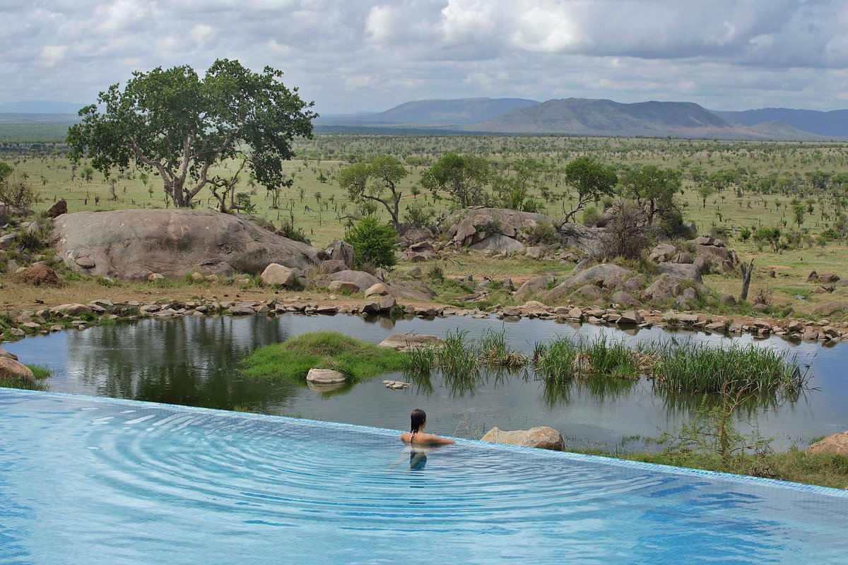 4 Days Tanzania Lodge Safari Short | Ngorongoro Serengeti Ways African Safaris