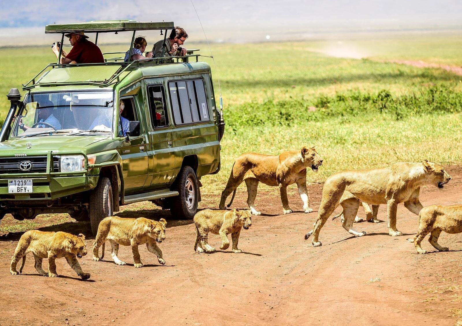 4 Days Tanzania Lodge Safari Ways African