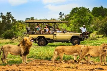 5 Day Tanzania Lodge Safari Tarangire & Serengeti