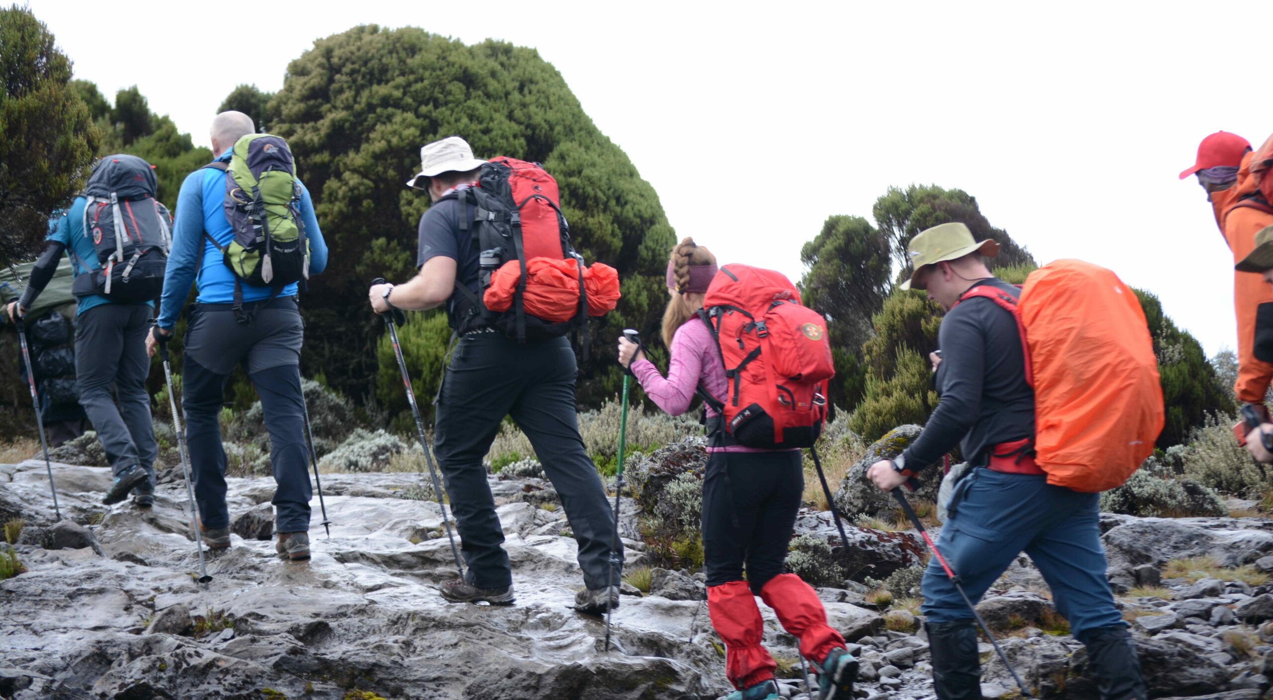 5 Days Marangu Route Kilimanjaro Itinerary | Prices