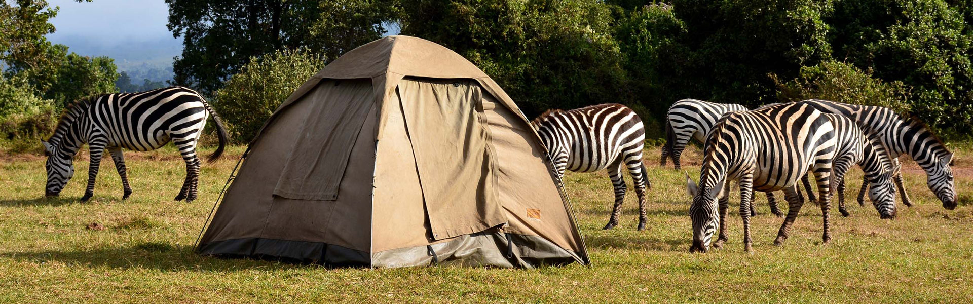 5 Days Tanzania Budget Camping Safari & Prices Ways African Safaris