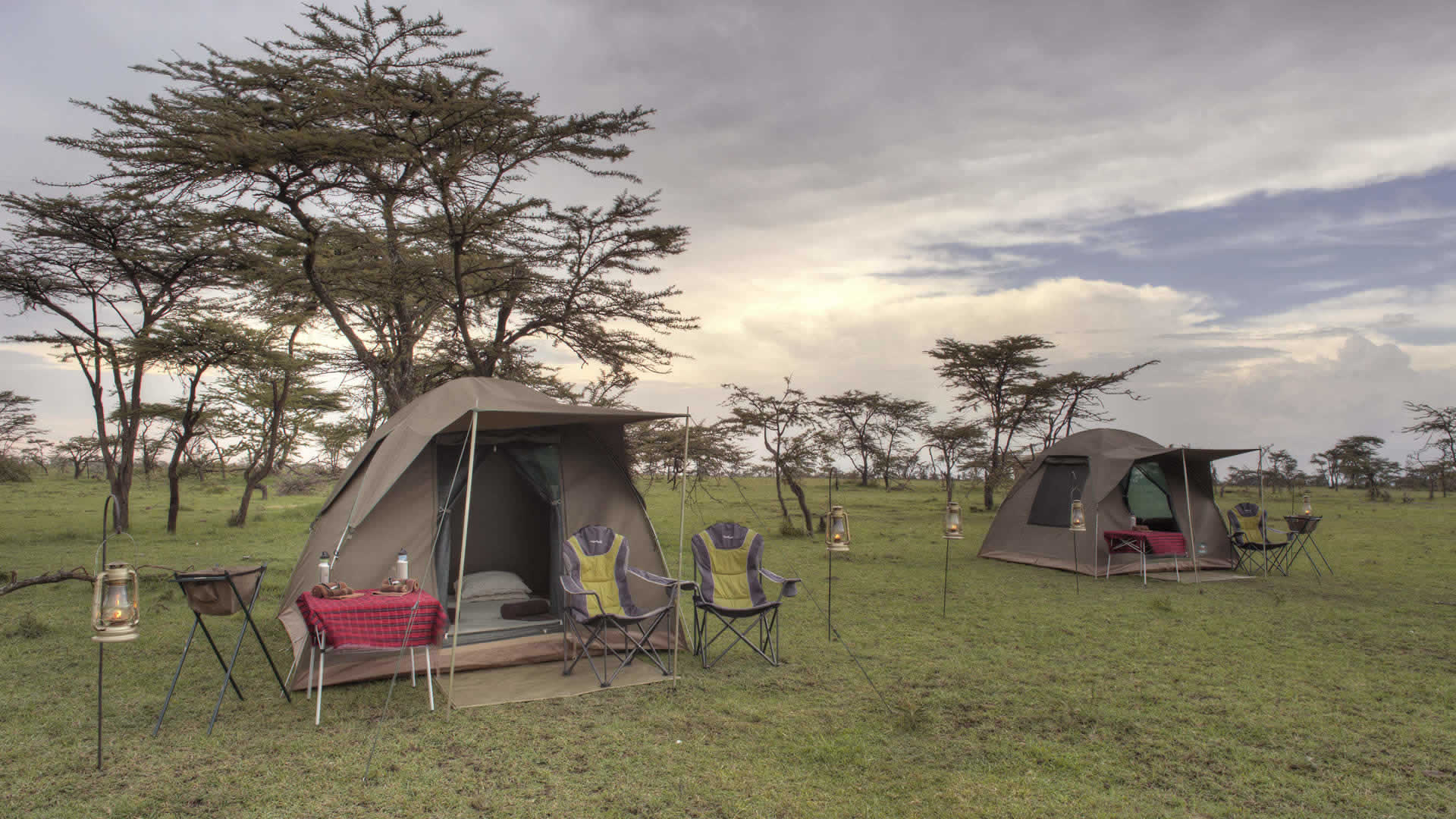 5 Days Tanzania Budget Camping Safari & Prices