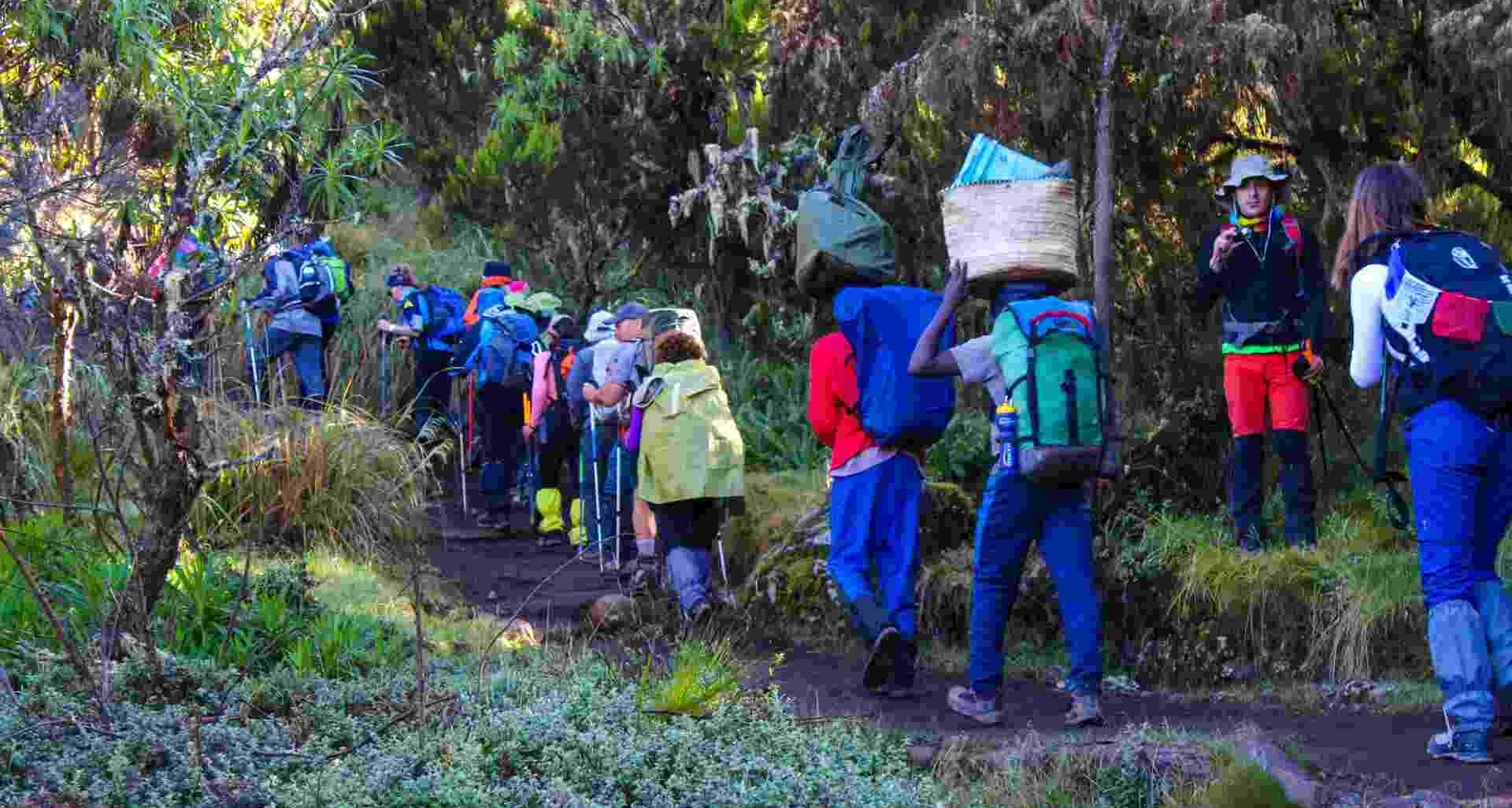 6 Day Kilimanjaro Trekking Machame Route