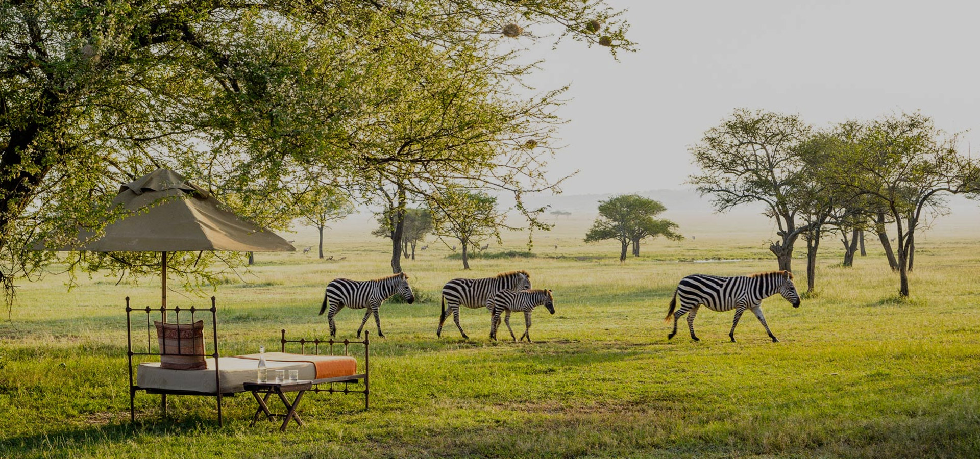 6 Day Tanzania Migration Safari Ways African Safaris