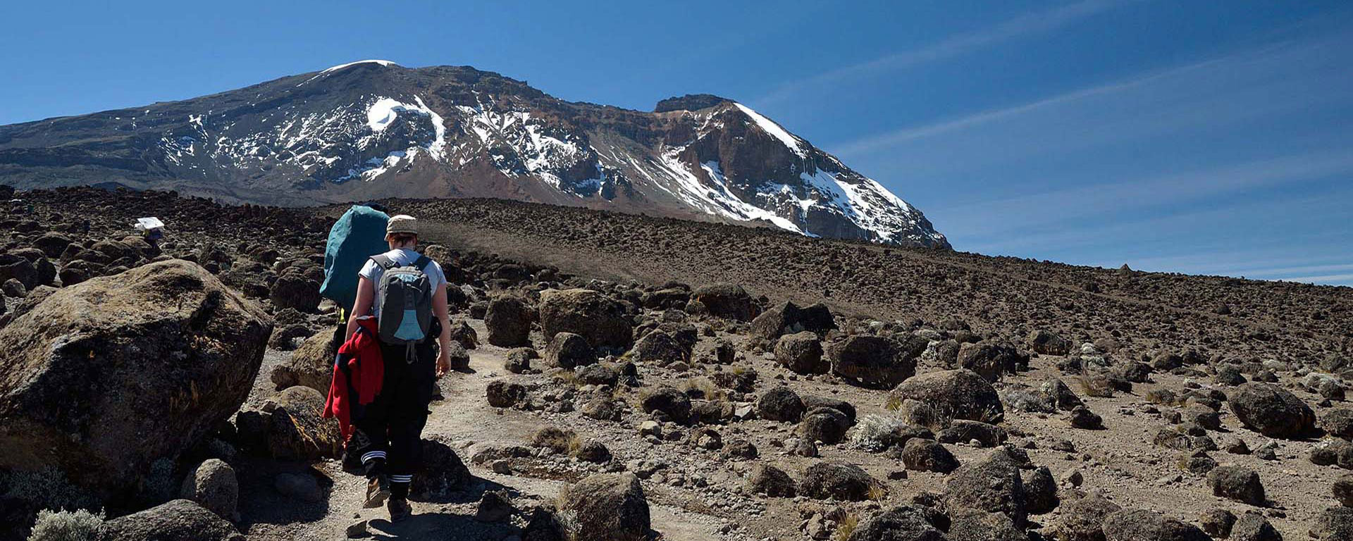 6 Days Rongai Route Kilimanjaro 95 Summit Success