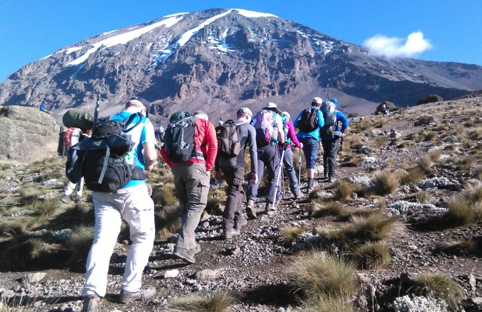 6 Days Rongai Route Kilimanjaro | 95 Summit Success