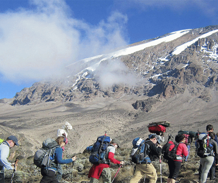 7 Day Kilimanjaro Trekking Tour Lemosho Route Prices