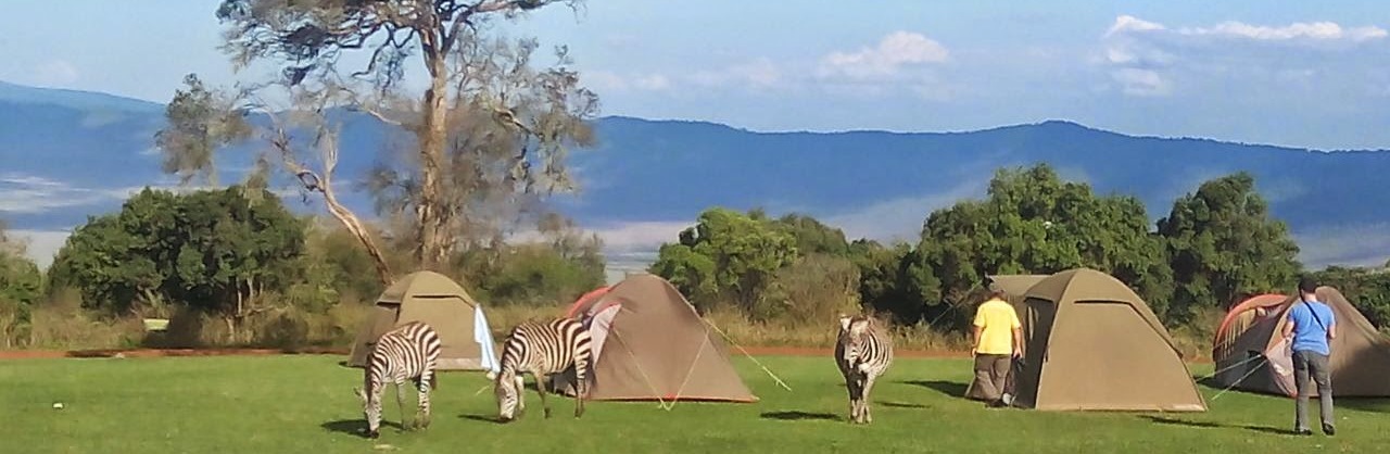 7 Days Tanzania Camping Safari with Bushman Ways African Safaris