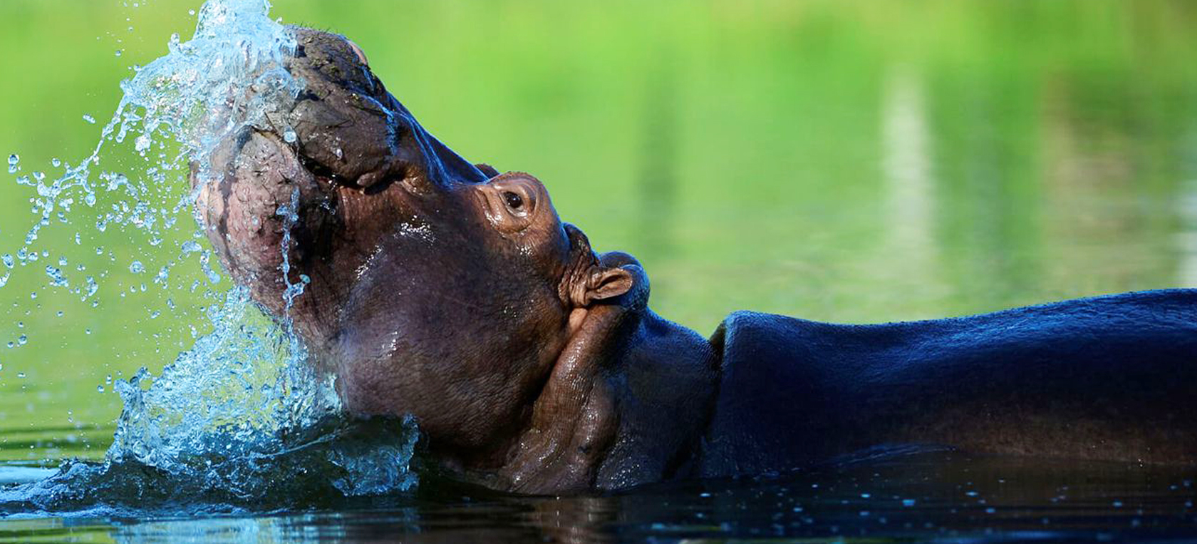 Katavi National Park