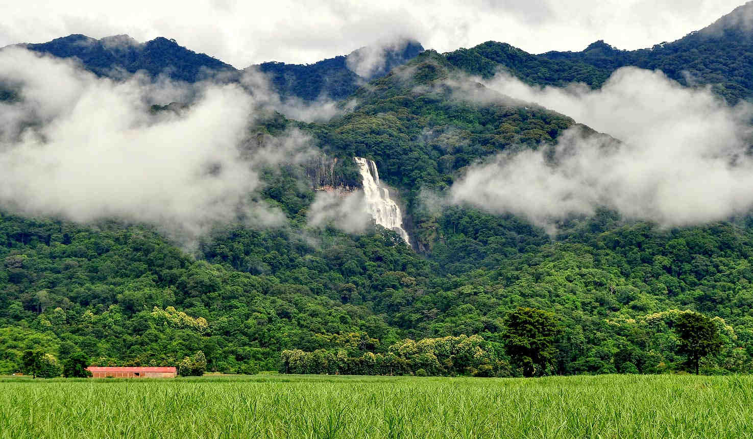 Udzungwa Mountains National Park