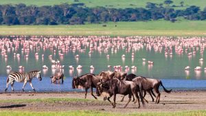 lake manyara