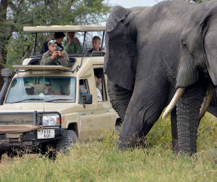 5 Days Safari Dar es Salaam - Selous Game Reserve