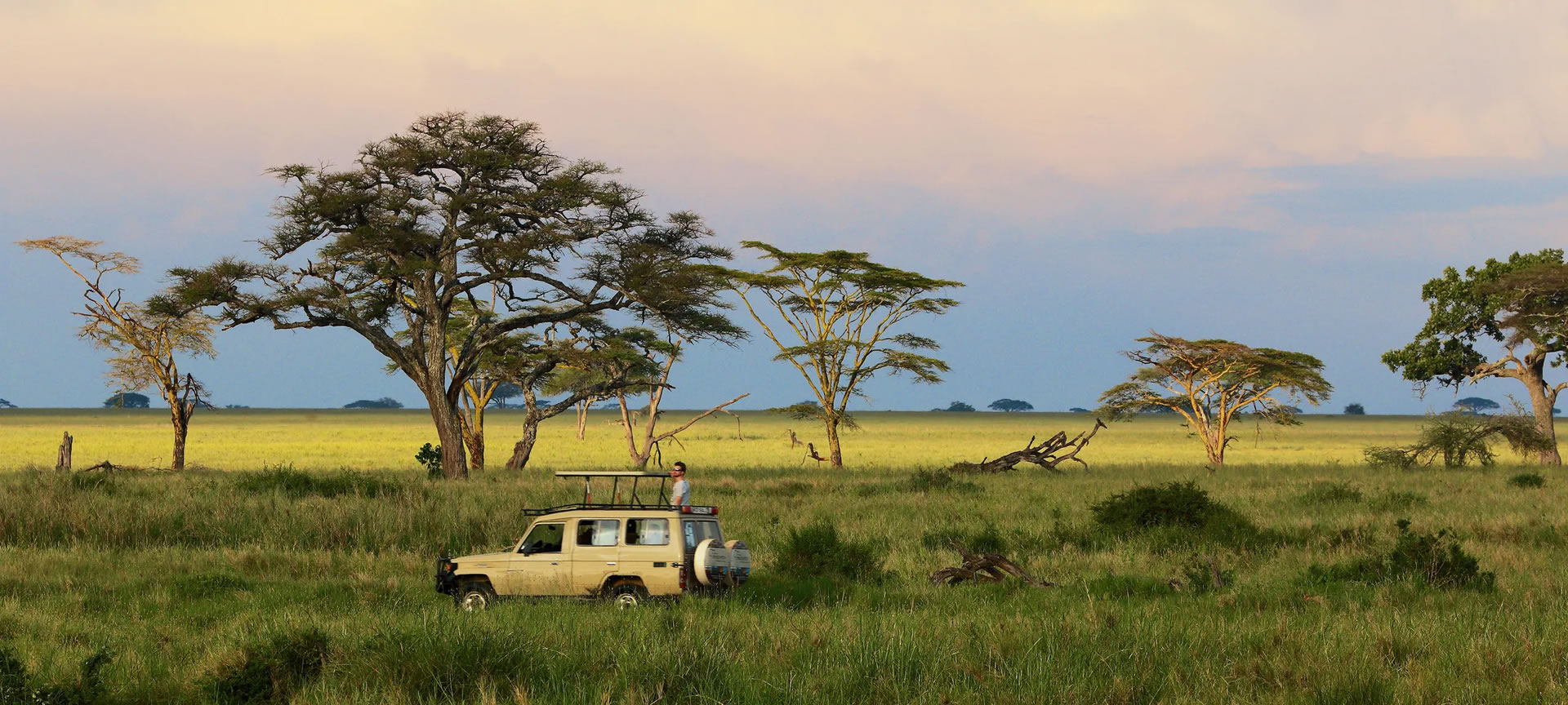 5 Days Tanzania Safari to Selous and Mikumi Ways African Safaris