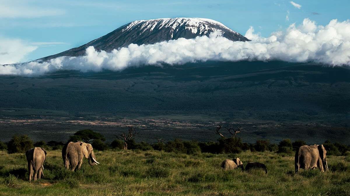 Mount Kilimanjaro Day Hikes Tanzania