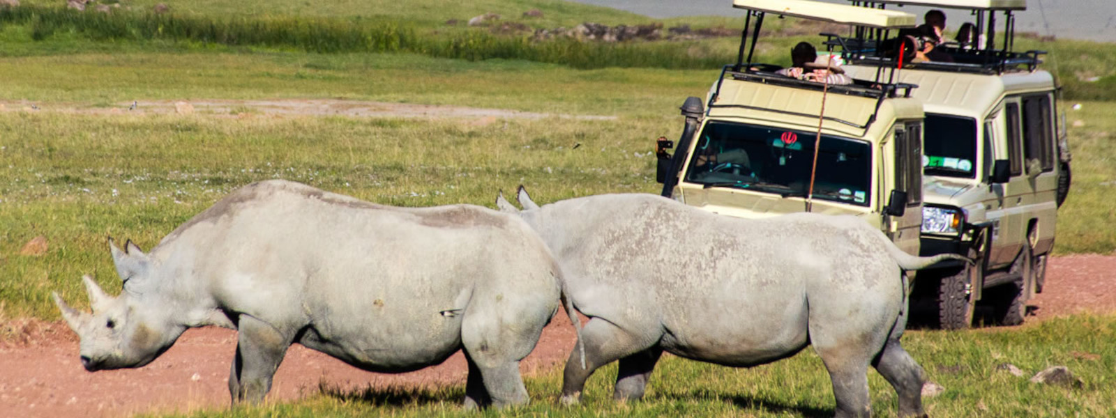 Day Trip to Ngorongoro Crater