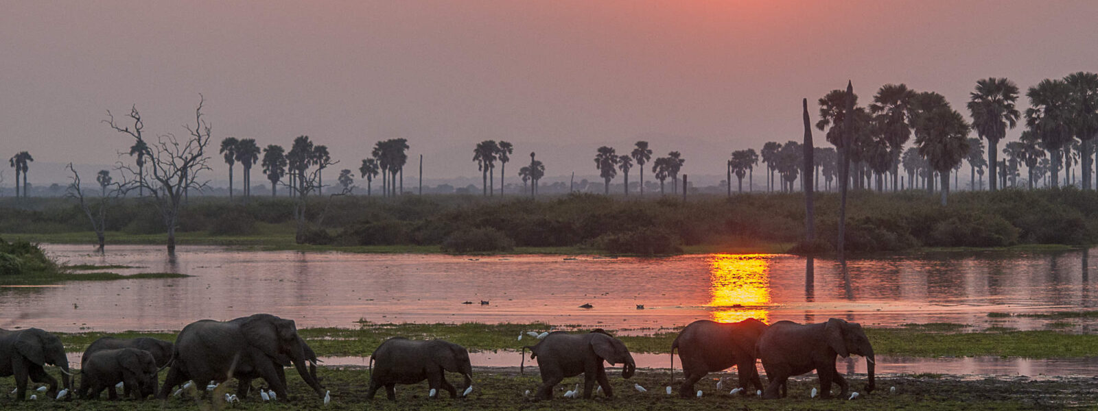 Day trip to Selous game reserve from Zanzibar