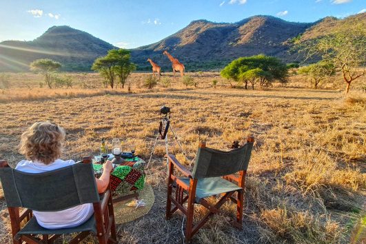 mkomazi day trip ways african safaris