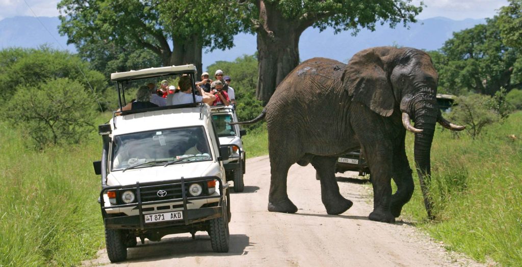 Tarangire National Park Day Trip