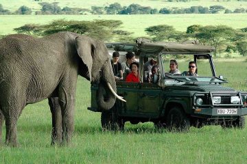 12 Days Kenya Safari & Diani Beach Holiday Resort