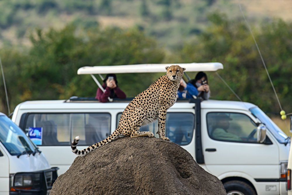 12 Days Kenya Safari & Diani Beach Holiday Ways African Safaris