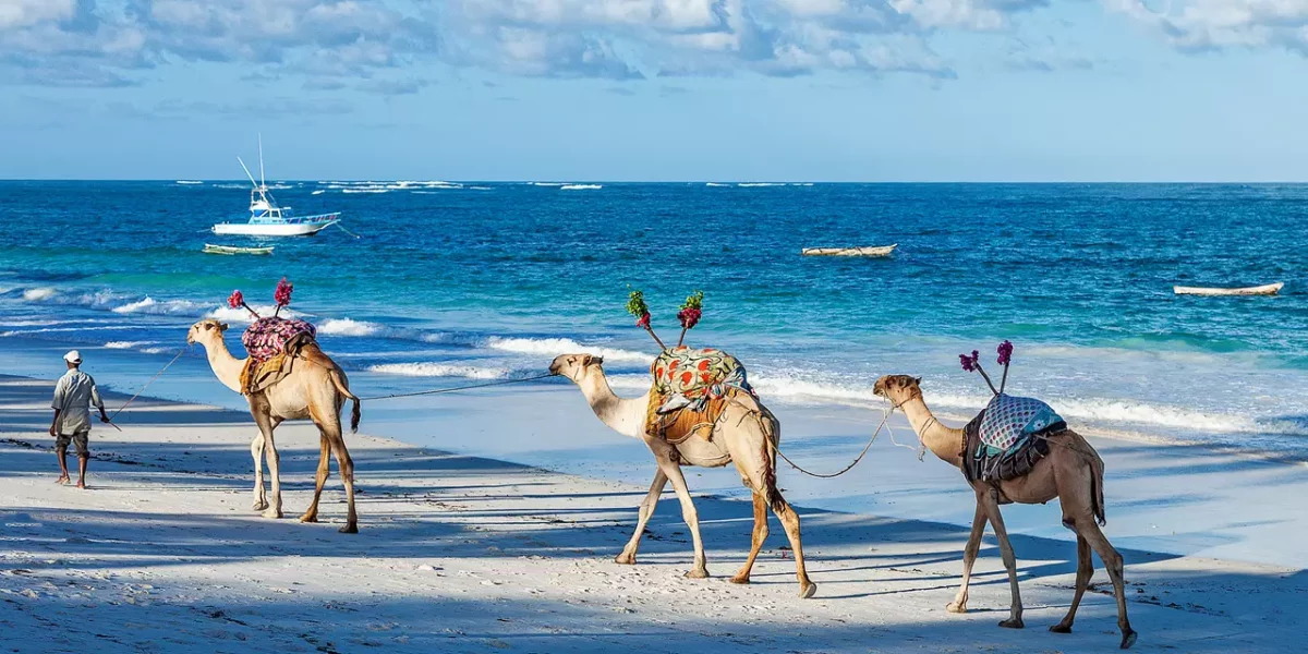 12 Days Kenya Safari & Diani Beach Holiday