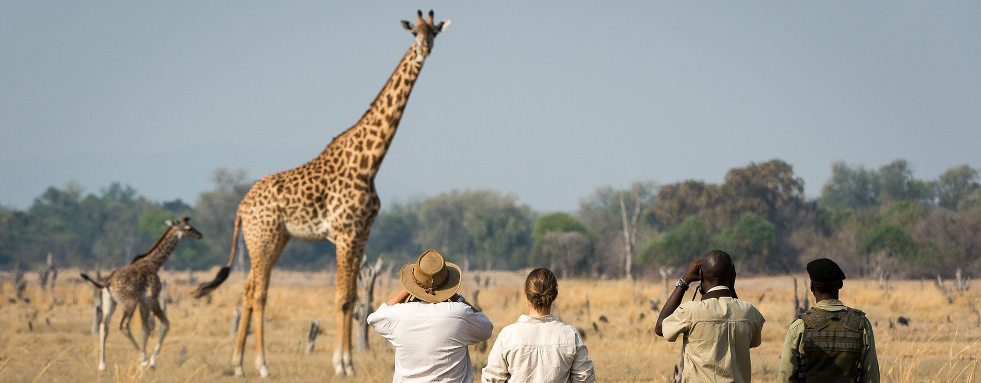 3 Day Tanzania Safari to Ngorongoro Highland