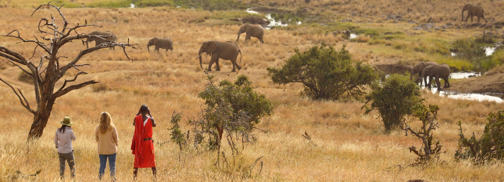 3 Days short Safari from Nairobi Masai Mara