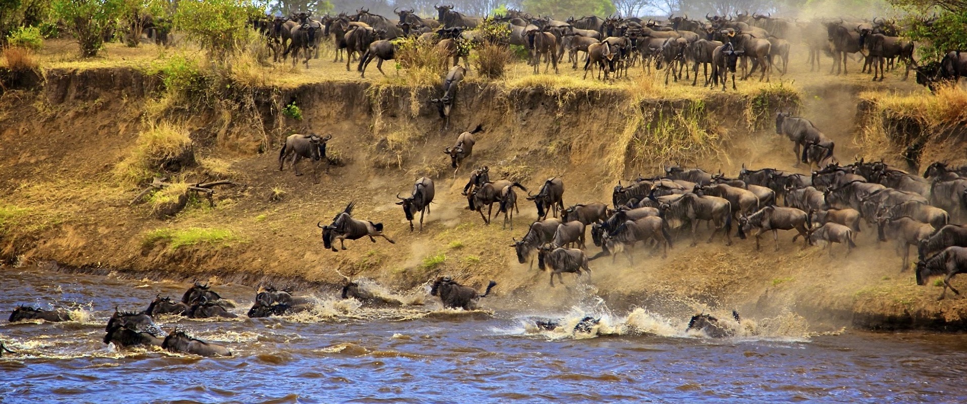 3 Days short Safari from Nairobi Masai Mara