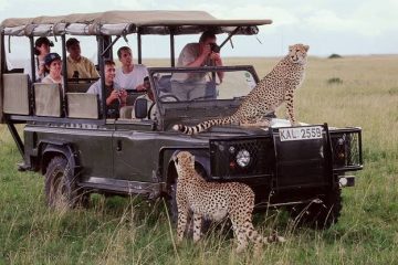 3 days masai mara ways african safaris