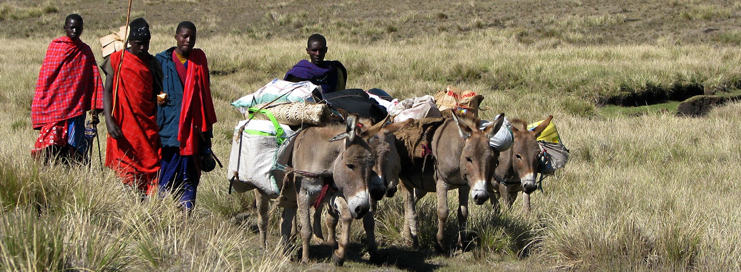 5 Day Ngorongoro Highlands Trekking Tour