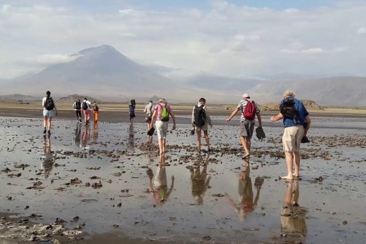 5 Day Ngorongoro Highlands Trekking Tour Prices