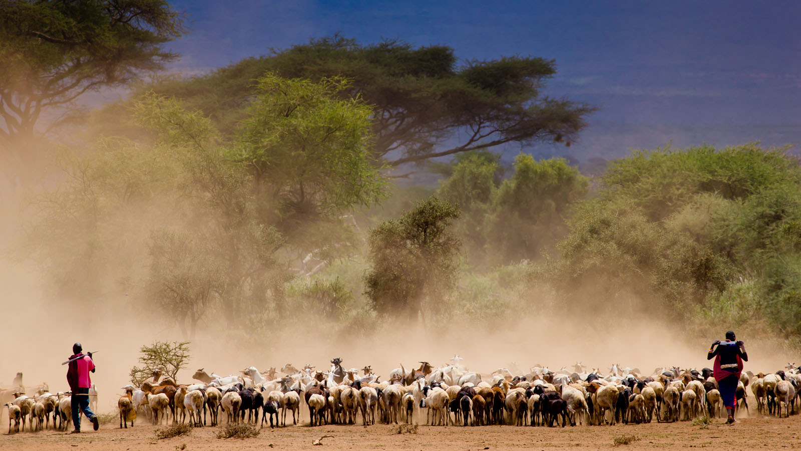 5 Day Ngorongoro Highlands Trekking Tour