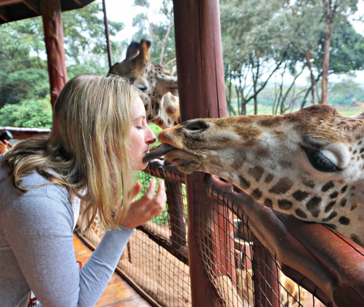 1 Day Baby Elephants And Giraffes Nairobi Tour