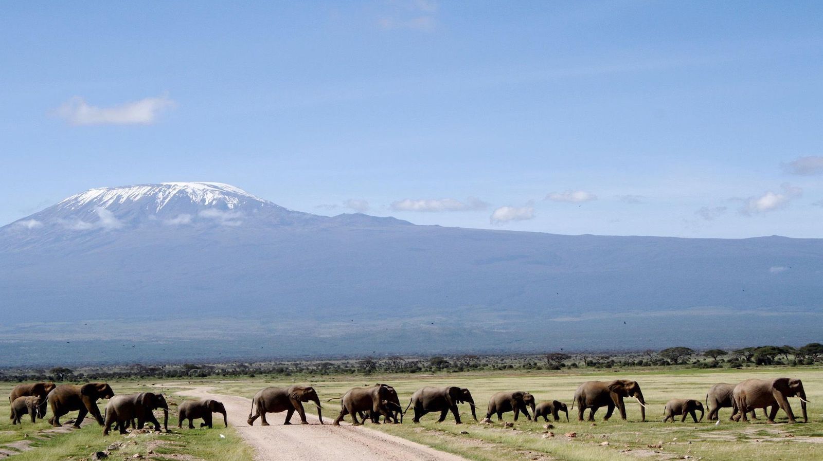 10 Days Best of Kenya Budget Safari Ways African Safaris