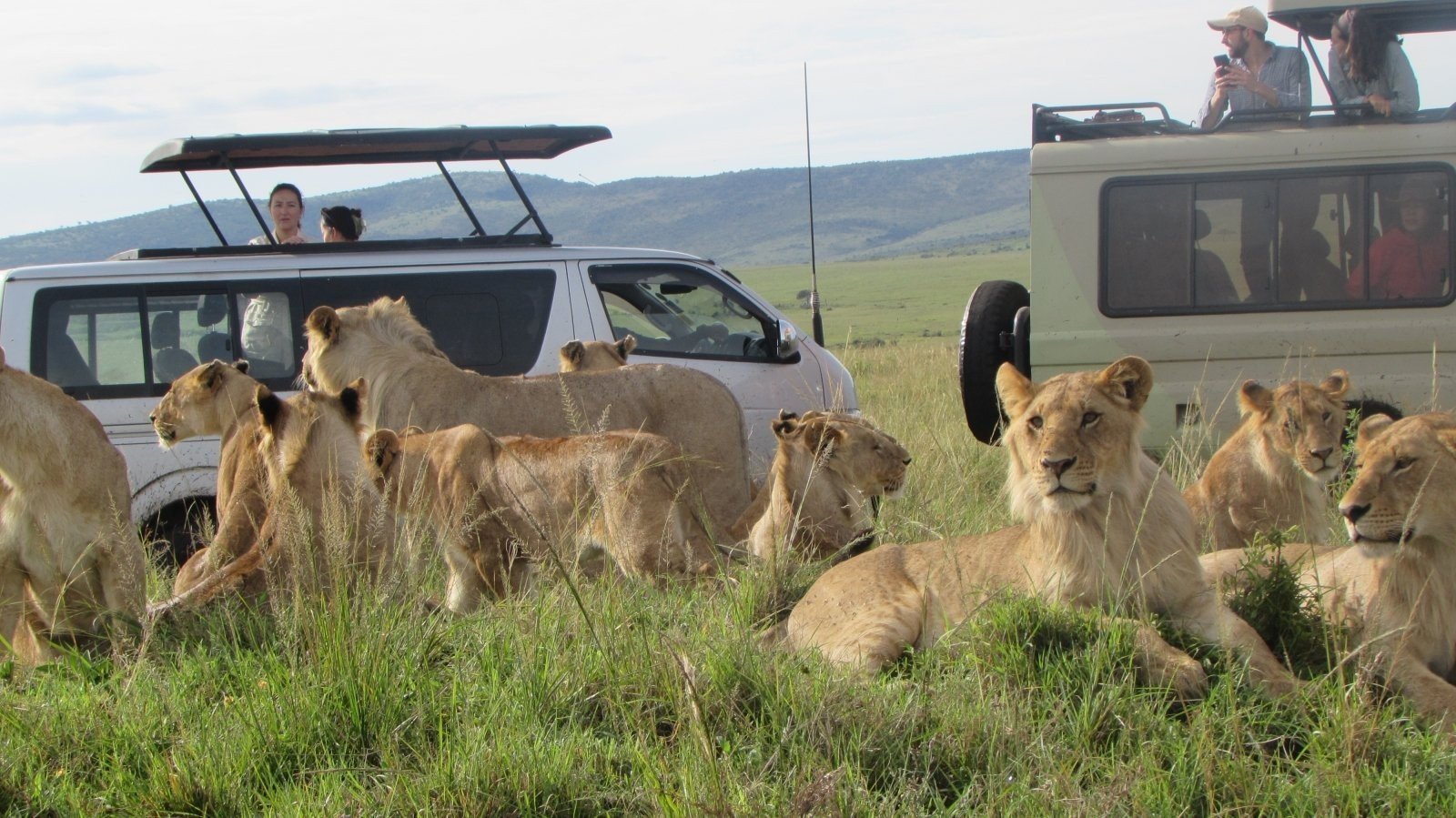 10 Days Best of Kenya Budget Safari