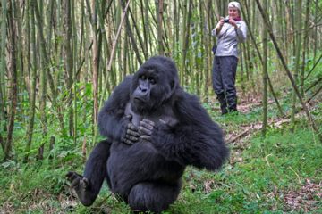 10 Days Rwanda Gorillas And Tanzania Safari