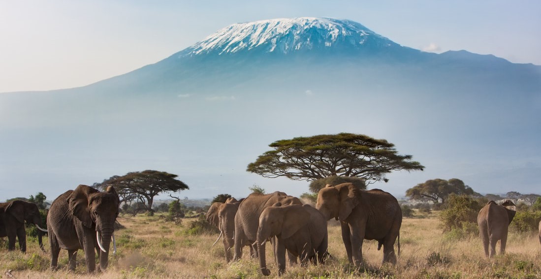 12 Day Tanzania Safari and Kilimanjaro Climb