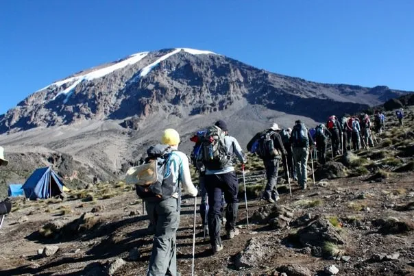 12 Days Safari and Kilimanjaro Trekking