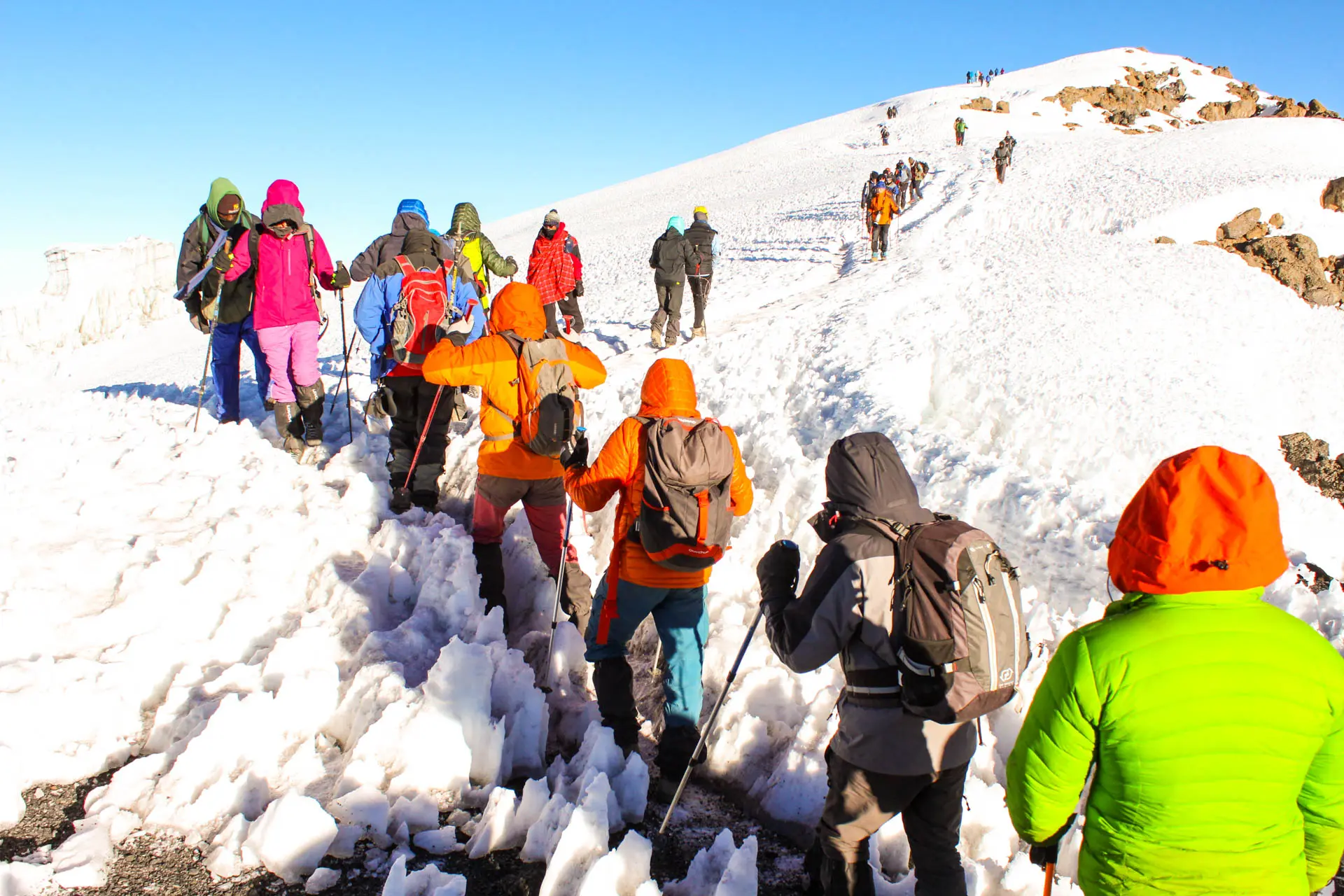 12 days Kilimanjaro climb and safari combined