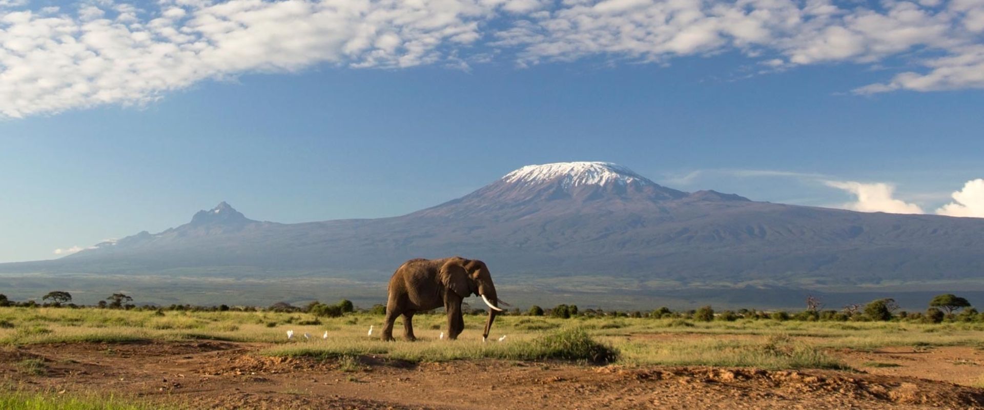 13 Day Kilimanjaro & Safari